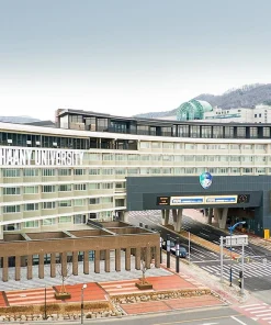 Du học Hàn Quốc trường Daegu Haany