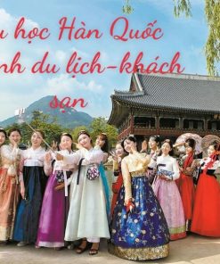 Du học Hàn Quốc chọn trường nào, chuyên ngành gì để sau khi ra dễ xin việc làm?